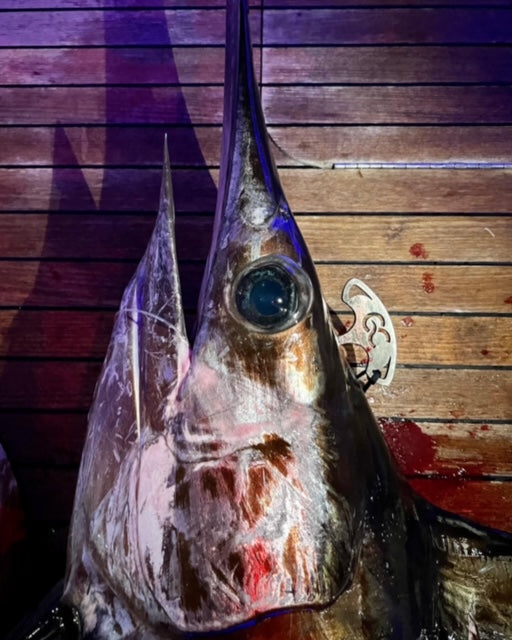 5-1/4 IKEJIME FISH SPIKE – Greg Cimms